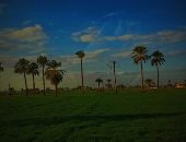 لكل موهبة دلالات.. "على" يشارك "صحافة المواطن" موهبته فى التصوير من أسيوط