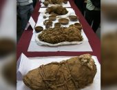 العثور على رفات ضحايا طقوس جنائزية قرب مومياء عمرها 1000 عام فى بيرو
