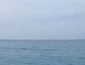 شبورة خفيفة بالإسكندرية مع انتهاء أمشير أبو الزعابيب.. فيديو لايف