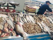 أسعار الأسماك اليوم فى مصر.. البلطى 29 إلى 35 جنيها 