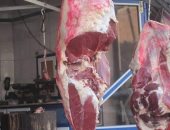 تعرف على متوسط أسعار اللحوم البلدى بالأسواق قبل شهر رمضان