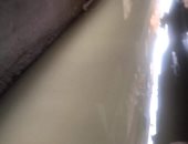 شكوى من طفح الصرف بشارع فى شربين بالدقهلية منذ 7 أشهر.. والمحافظ يرد