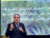 رئيس الوزراء: أضفنا 400 ألف فدان لمساحة الأرض المزروعة بالقمح العام الحالى