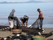 الصيد بلا قوارب.. فعاليات موسم صيد الأسماك التقليدى بإندونيسيا