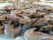 جمبرى أزاز وأحمر.. إقبال كبير على سوق الأسماك ببورسعيد.. لايف وصور