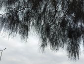 طقس الغربية الآن.. نشاط للرياح المحملة بالأتربة وانخفاض درجات الحرارة