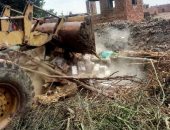 استمرار الحملات الدورية لإزالة التعديات الزراعية والبناء المخالف بالشرقية