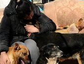 عاملو ملاجئ الحيوانات بأوكرانيا يرفضون المغادرة والتخلى عن "النفوس المنسية"