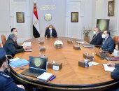الرئيس السيسي يوجه بمواصلة العمل على استكمال مستهدفات مشروع مستقبل مصر