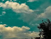 مصر جميلة.. "سارة" تبدع فى تصوير جمال سماء القليوبية  