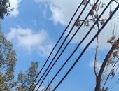 شكوى من تساقط أسلاك الكهرباء فى قرية طهواى بالمنوفية.. ورئيس المدينة يرد
