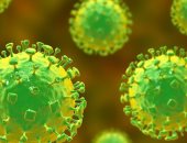 علماء يطورون لقاحا للوقاية من فيروس نيباه فى ثلاثة أيام 