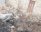 "إيمان" تناشد ضبط الطريق أمام منزلها بالفيوم من حفر الصرف الصحى والشركة ترد