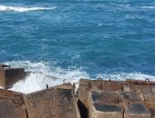 تحسن تدريجى فى طقس الإسكندرية مع اقتراب انتهاء فصل الشتاء.. لايف وصور