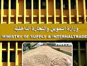 انتفاضة الحكومة لدعم المزارعين فى موسم القمح.. بدء توريد المحصول المحلى أول أبريل وتوفير أكثر من 400 مركز ونقطة تجميع الحبوب بالمحافظات.. وصرف أسمدة مدعمة لموسم الصيف لمن يسلم 90% فأكثر من إنتاجه للوزارة