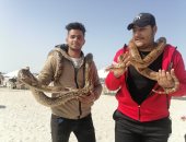 "أحمد" يبهر الأهالى على شواطئ بورسعيد بالثعابين والتماسيح.. لايف وصور