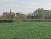 طقس المنوفية الآن.. برودة فى الجو وغيوم فى السماء.. لايف