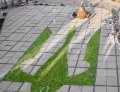 1.5مليون زهرة توليب ترسم رمز أوكرانيا الوطنى فى ساحة كاتدرائية سانت صوفيا 