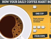 لعشاق القهوة.. عدد الفناجين يوميا يحدد فوائدها من أمراض الكبد للسكري