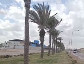 الشتا وسنينه.. طقس متقلب فى المحافظات.. استمرار سوء الأحوال الجوية بالإسكندرية مع تعطيل الدراسة.. رياح مثيرة للرمال والأتربة وانخفاض درجات الحرارة فى الشرقية.. وأمطار فى بورسعيد