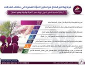 معلومات الوزراء يستعرض 7 ركائز لرؤية مصر للمرأة وتغير المناخ