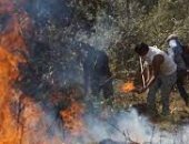 اندلاع 33 حريقا فى المكسيك وتضرر أكثر من 4200 هكتار.. صور