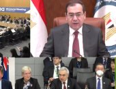 وزير البترول: إعداد مبادرة مصرية لتنمية التحول الطاقى فى أفريقيا