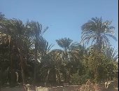 تحسن فى الأجواء بالمحافظات بعد ليلة طقس سيئ.. برودة فى الجو وسماء ملبدة بالغيوم بالفيوم.. أجواء مشرقة وانتظام الحركة المرورية بالبحيرة.. تقلبات جوية بجميع أنحاء قنا والأقصر.. واستمرار انخفاض الحرارة بالإسكندرية