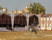 66 حصانا فى سباق فريد من نوعه.. مهرجان الخيول العربية الأصيلة بالمنوفية.. لايف