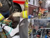 إنقاذ 100 قطة من حريق منزل بأمريكا.. "كانت محبوسة في أقفاص" 