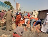 تعطل الحركة المرورية بطريق بنها المنصورة بسبب انقلاب سيارة نقل محملة بالطماطم