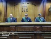 المؤبد لـ4 متهمين شرعوا فى قتل طفل لسرقة توك توك بالحوامدية