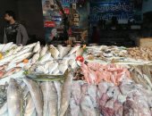 بورصة الفسفور تنتعش بعد يومين صيام.. ازدحام على سوق الأسماك ببورسعيد.. لايف وصور