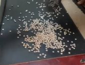 جمارك مطار القاهرة تضبط محاولة تهريب عدد من أقراص عقار الكبتاجون المخدر