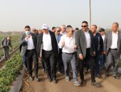 وزير الزراعة يتفقد حقول بطاطس وفراولة تستخدم أساليب الرى الحديث بالدقهلية.. صور