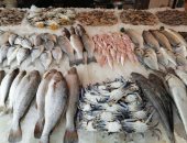 الأسماك والبحريات أشكال وألوان فى سوق الأسماك ببورسعيد