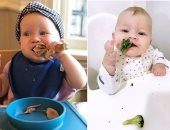5 أطعمة غنية بالبروتين لو أطفالك ما بيحبوش اللحمة.. منها السبانخ والجمبري