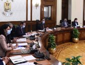 رئيس الوزراء يوجه بتشكيل مجموعة عمل لوضع استراتيجية التعافي من الأزمة العالمية.. صور