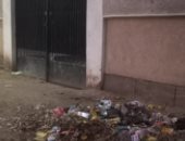 أهالى الحواتكة بأسيوط يطالبون برفع القمامة.. والمحافظة ترد