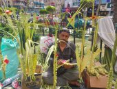 كل سنة وأقباط مصر بخير.. سعف النخيل ينتشر بالإسكندرية استعدادا لـ"أحد الشعانين"