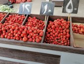 انخفاض الأسعار.. الطماطم تبدأ من 5 جنيهات بسوق البازار فى بورسعيد..لايف وصور
