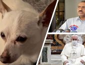 باختصار.. أهم الأخبار العالمية والعربية حتى منتصف الليل.. موسكو تستدعى سفير إسرائيل.. الخرطوم: منطقة الفشقة سودانية.. كلب يدخل موسوعة جينيس.. إطلاق نار فى بنسلفانيا الأمريكية.. وإيطاليا تعيد فتح سفارتها بكييف