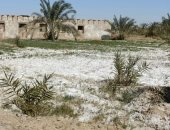 بحوث صحراء الوادى الجديد يعيد حفر مصارف قديمة بالخارجة لإنقاذ الأراضى الملحية