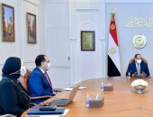 الرئيس السيسى يوجه بتشجيع قطاعات الصناعة الوطنية واستكمال منظومة الإفراج الجمركى