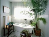  أنواع وشروط اختيار النباتات المناسبة لغرفة الحمام .. الثعبان الأخضر الأبرز