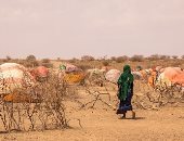 الأغذية العالمى يحذر من ارتفاع عدد الجياع لـ20 مليونا بسبب الجفاف بالقرن الأفريقى