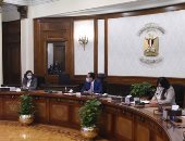 رئيس الوزراء يستعرض مقترحات جذب مزيد من الاستثمارات الأجنبية المباشرة