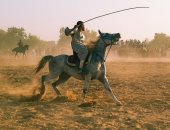 سباق المرماح تراث مصرى أصيل.. شاهد مهارات السيطرة والقوة بالخيول