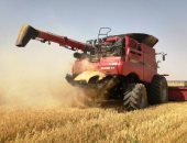 المحافظات تواصل توريد القمح.. محافظ أسوان يعلن استلام 7500 طن حتى الآن.. وشون وصوامع أسيوط تستقبل 40 طنا.. "تموين المنيا" تعلن استقبال 132 طنا و636 كيلو.. و"زراعة القليوبية": حصاد 124 فدانا من 53 ألف فدان