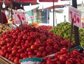 أسعار الطماطم تواصل التراجع والكيلو بـ 2.75 جنيه